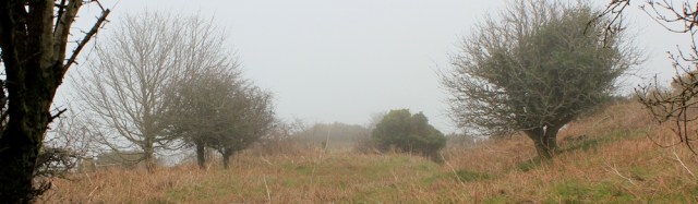Mist above Buck's Mills, Ruths coast walk, Devon