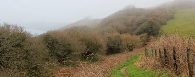 Above Worthygate Wood, Ruth's coastal walk, North Devon