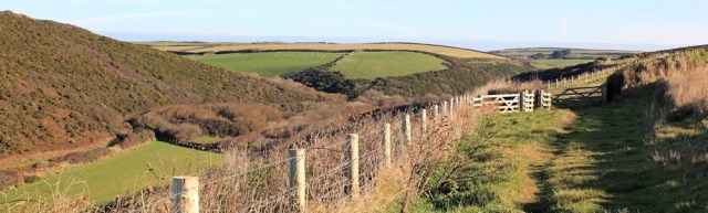 13 walking inland to foot bridge over to Upright CLiff, Ruth's coast walking