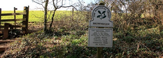 Brownsham Woods, towards Mouthmill Beach, Ruth Livingstone