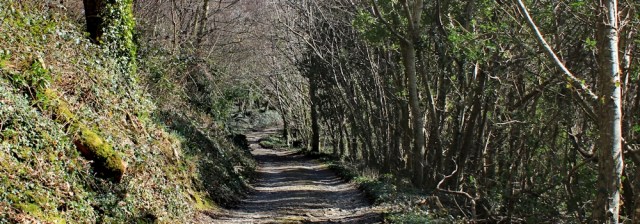 18 boring track, Mouthmill hill, Ruth near Clovelly, SW Coast Path