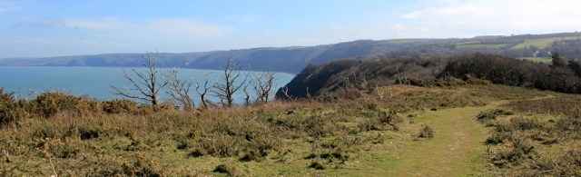 Gallentry Bower, Ruth walking the coast