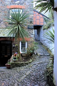 Clovelly street, Ruth Livingstone