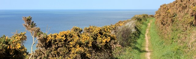 Path along Saunton Down, Ruth's coastal walk in north Devon