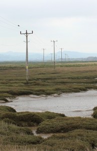 Isley Marsh and nothing much, Ruth's coastal walk