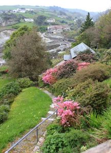  looking down into Lee Bay, Ruth on the SWCP, near Mortehoe