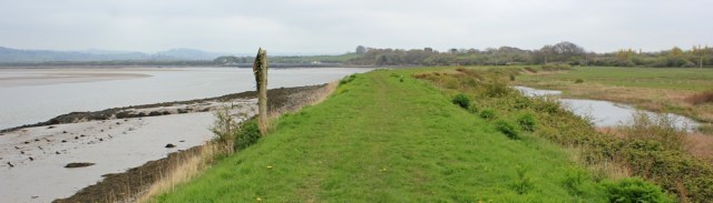 long river bank, Ruth walking towards Barnstaple