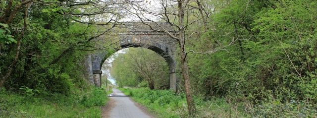 long straight path, Tarka Trail to Barnstaple, Ruth on her coastal walk