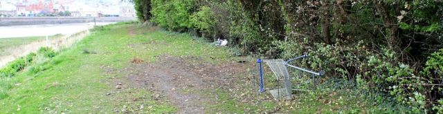 river walk with supermarket trolley, Barnstaple