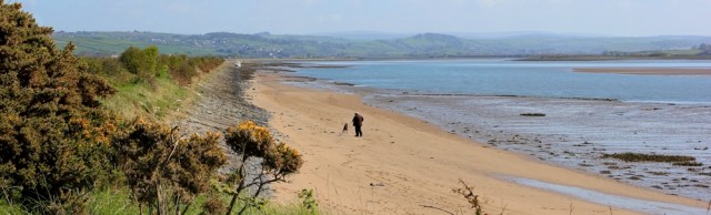 looking up estuary, River Taw, Horsey Island, Ruth's coast walk