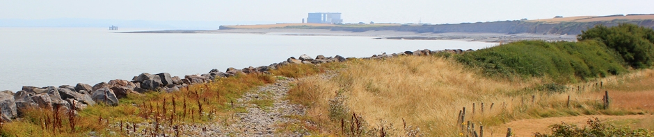 header, Hinkley Point, Ruth Livingstone