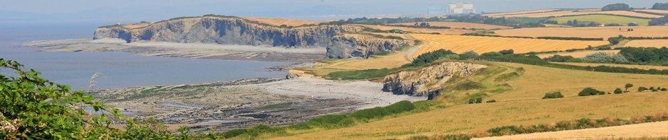 header, Ruth Livingstone at Kilve Pill