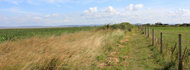 unexpected coast path to Stert Point