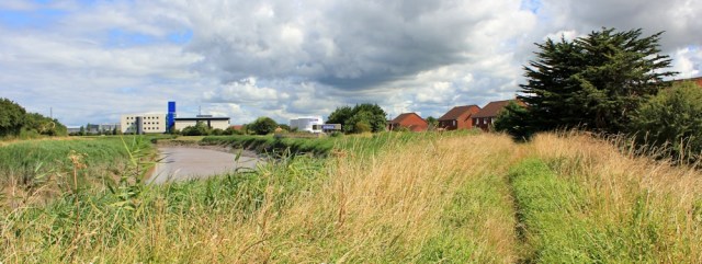  riverside walk, along River Parrett, towards Dunball, Ruth's coast walking