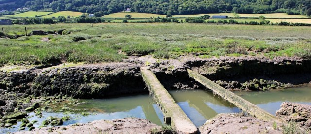 Ruth lost in the marshes, coastal walking, Porlock
