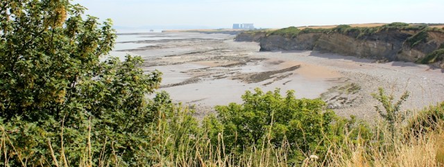 on cliffs, walking the Somerset Coast Path towards Hinkley Point, Ruth Livingstone