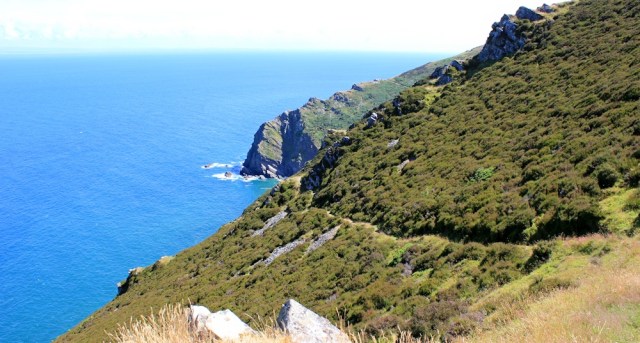 rocky path, East Cleave, SWCP near Heddon's Mouth, Ruth Livingstone