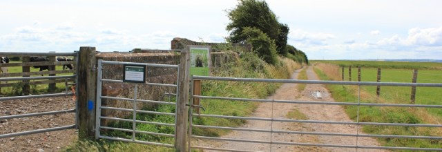 the trail begins from Steart, Ruth's coastal walk, River Parrett Trail