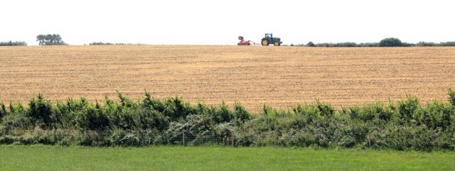 rural scene, West Somerset Coast Path, Ruth walking