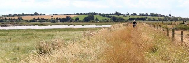 cyclist, River Parrett Trail, Ruth walking the coast, Somerset