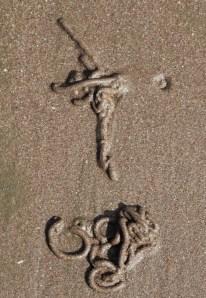 lugworm crucifix, Ruth walking the shore in Minehead