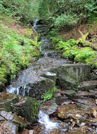 lunch beside a waterfall, Ruth on the SWCP, Somerset