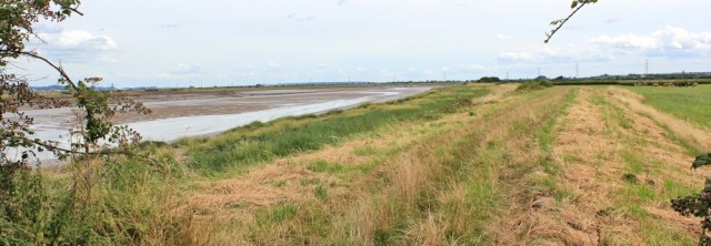 14 bank of River Parrett, Ruth on her coastal walk, Somerset