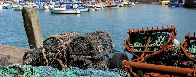  working harbour, Ilfracombe, Ruth walking the coast of Devon