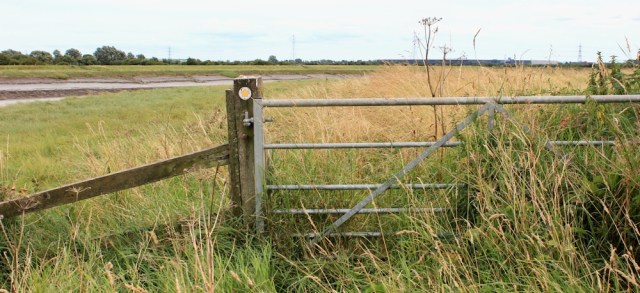 overgrown path, Parrett's Trail, Ruth walking the Somerset coast