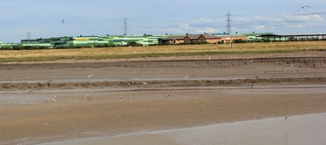 Morrisons on River Parrett, Ruth's coastal walk