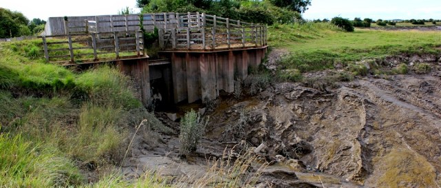 Mud at Pims Pill, Ruth walking the River Parrett Trail