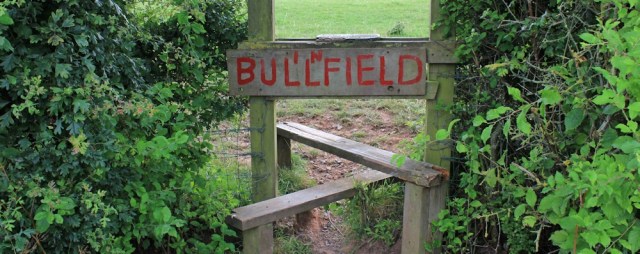 bull in fields sign, Parrett Trail