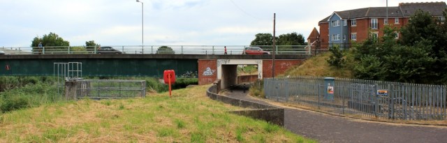 approach to Bridgwater, Ruth walking the Parrett Trail