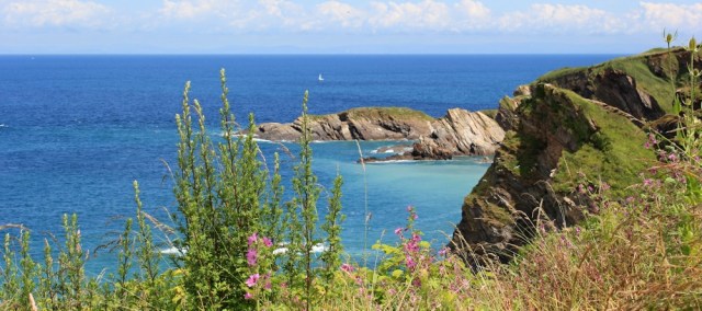 SWCP towards Rillage Point, Ruth walking from Ilfracombe