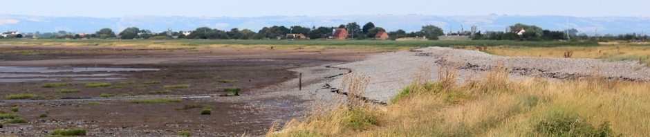 header, Steart, Ruth Livingstone