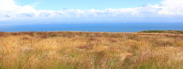  prarie land, SWCP, Ruth's coastal walk on Bossington
