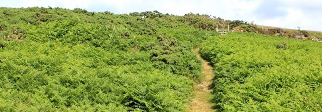  easy slog up Great Hangman, Ruth's coastal walk around the UK