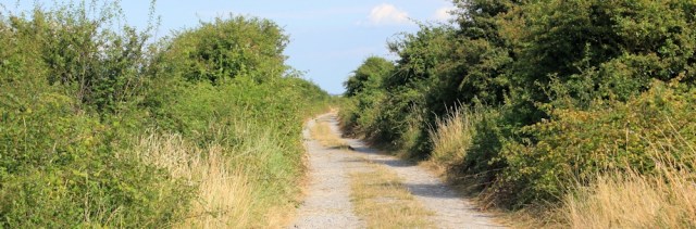 boring track, towards Steart, Ruth on the West Somerset Coast Path