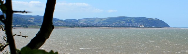 view to Minehead, from trees, Ruth's coastal walk to Watchet