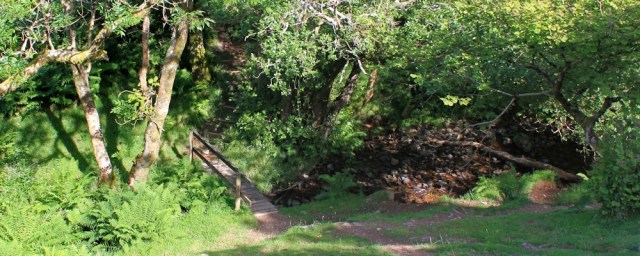 valley of the flies, Ruth in Sherrycombe, north Devon