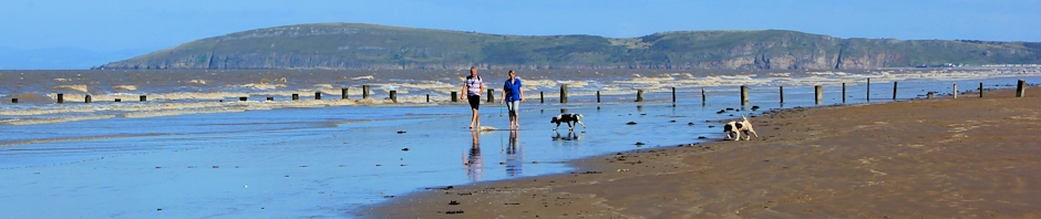 header, Brean Down, Ruth's coastal walk