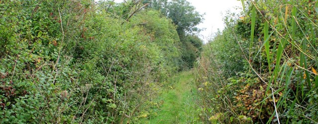  bridleway to Wick St Lawrence, Ruth's coastal walk, Somerset