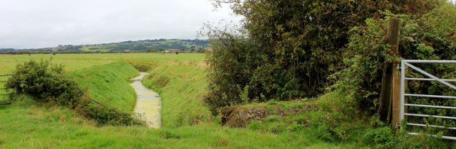 rural views, walking through North Somerset, Ruth's coastal walk