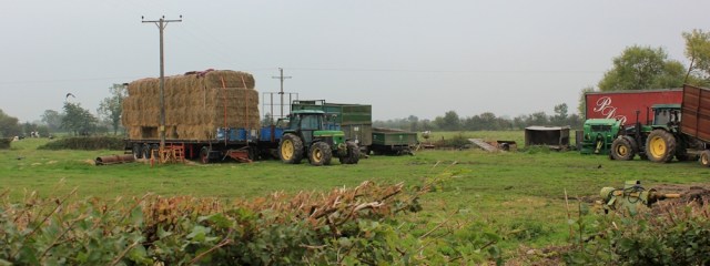 rural scene, Wick St Lawrence, Ruth supposed to be walking the coast