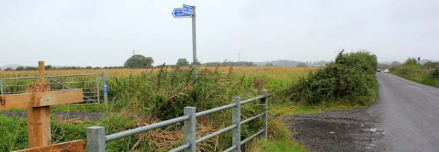 cycle route 33, Bleadon Level,  Ruth Livingstone