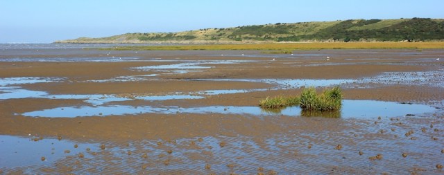  Sand Point, Ruth walking in Kewstoke, North Somerset coast