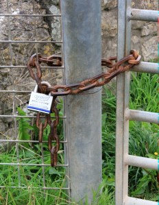 obstructed footp[ath, Dolecroft Lane, Ruth trying to walk in Somerset