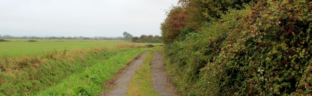 boring track, cycle route 33, Bleadon Level, Ruth walking in north Somerset