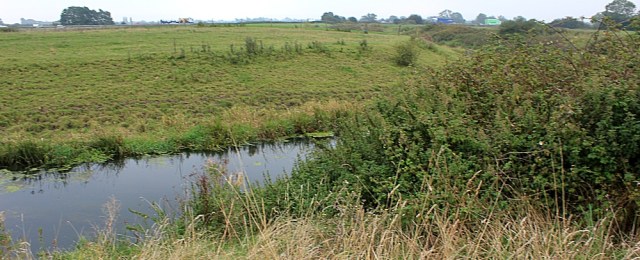  footpath covered in bramble bushes, Ruth trying to walk in North Somerset