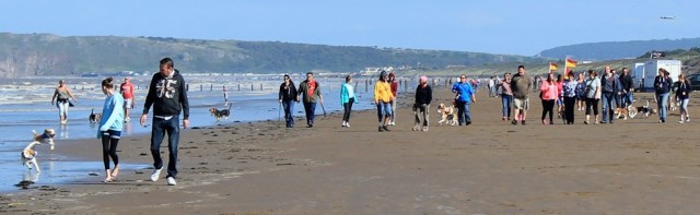 group of walkers with dogs, Ruth walking the coast to Brean Downs